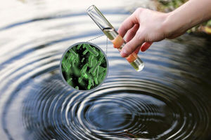 تصفیه آب کل جهان با میکروب‌هایی که تازه کشف شده‌اند