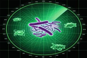 شناسایی رادار پنهان باکتری‌ها جهت شناسایی دشمنان