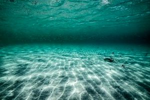 بعد از ۷ هزار سال، مجدد زنده شد/ موجودی که قرنها خفته بود_طلوع شرق 2 پس از ۷ هزار سال، دوباره زنده شد/ موجودی که قرنها خفته بود