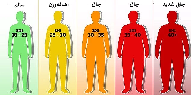 اندام «ایده آل» مردانه از نگاه علم_طلوع شرق 10 شاخص توده بدنی (BMI)