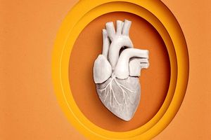 قلبی مرده احیا و به یک نوزاد پیوند داده شد