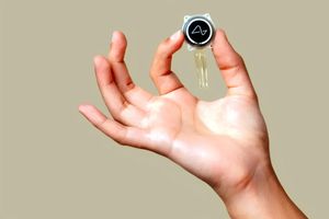 کاشت تراشه در مغز انسان؛ استارتاپ ایلان ماسک ۲ جراحی موفق دیگر انجام داد_طلوع شرق کاشت تراشه در مغز انسان؛ استارتاپ ایلان ماسک 2 جراحی موفق دیگر انجام داد