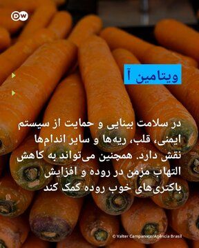 پنج ویتامینی که به هضم غذا پشتیبانی میکنند_طلوع شرق 5 5.jpg
