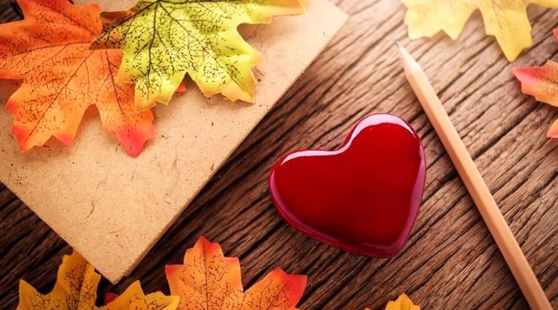 پاییز که می آید، غم خاصی همراهش است/ ویدئو